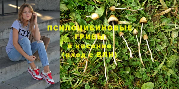 ГАЛЛЮЦИНОГЕННЫЕ ГРИБЫ Алексин