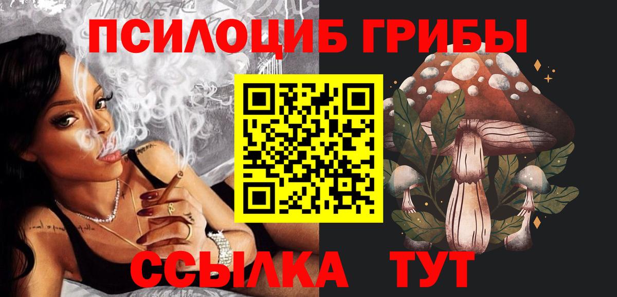 где купить наркоту  Псилоцибиновые грибы мухоморы  Вход с VPN  Изобильный 