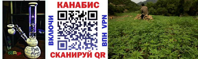 как найти закладки  Изобильный  Бошки Шишки семена 
