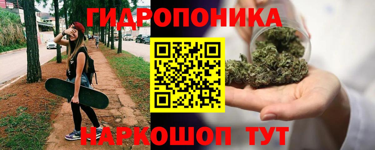 Шишки марихуана конопля Изобильный