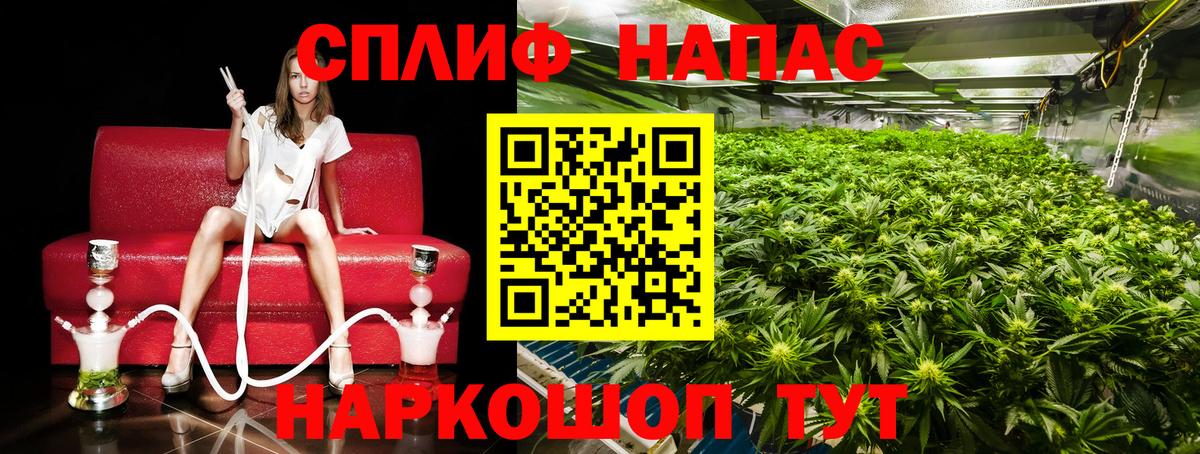 Каннабис AK-47  Вход с VPN  Каннабис THC 21%  Изобильный 